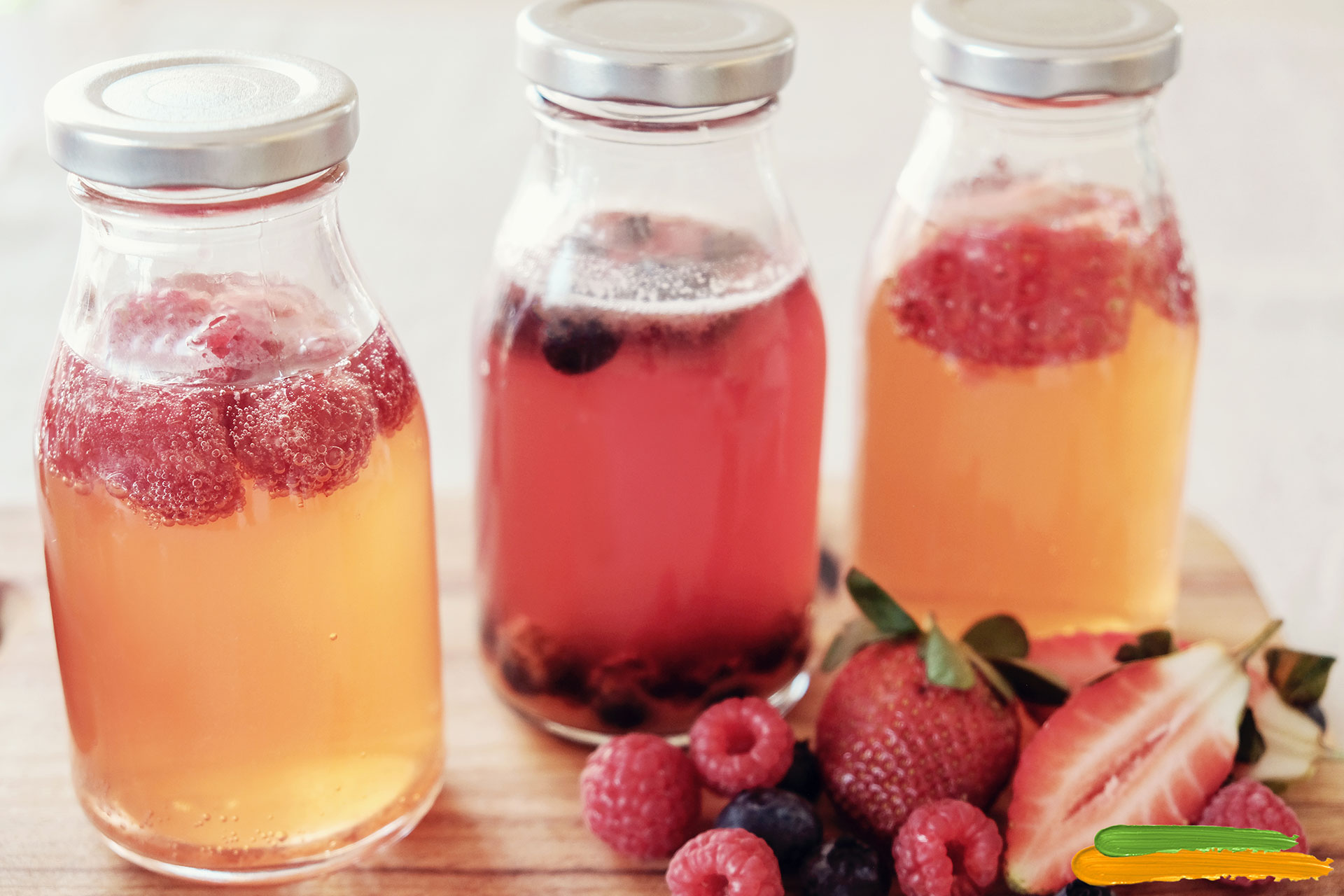 Kombucha, kvas et kéfir le top des boissons fermentées Serpent Vert